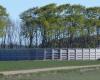 Perstrup Tank i Ølstrup