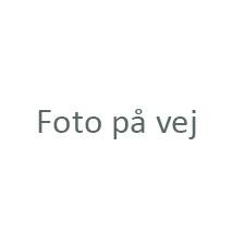 Snorri Debess